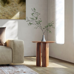 Elegant wood side table crafted from solid pino wood, enhancing modern living space decor - sparkledecor.com